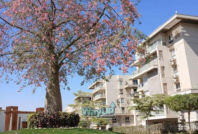 8412858 - صورة العقار 2