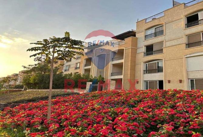 8287025 - Property Image 2