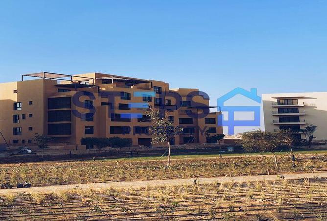 8166567 - صورة العقار 2