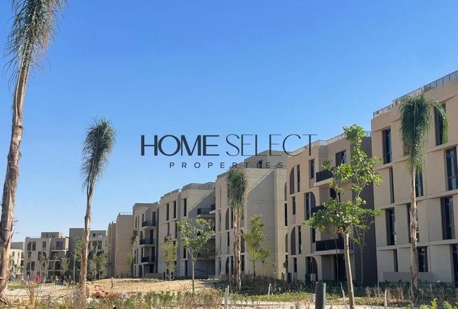 8251628 - Property Image 2