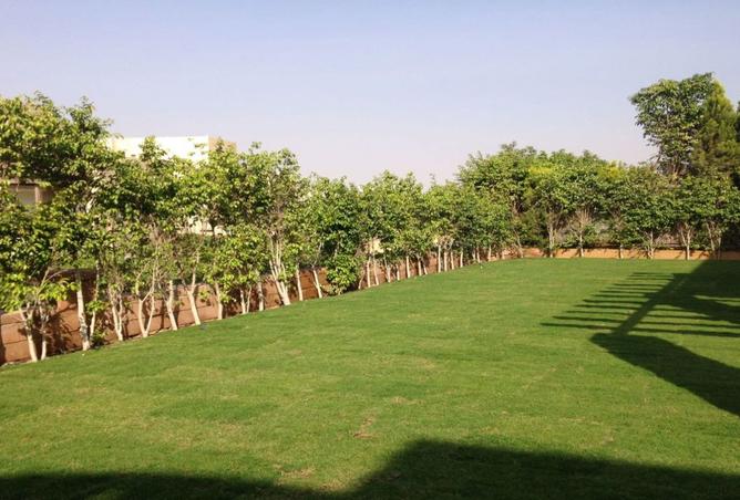 7900641 - صورة العقار 3