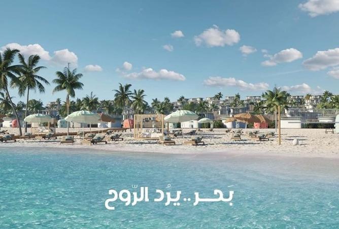 8359529 - Property Image 3