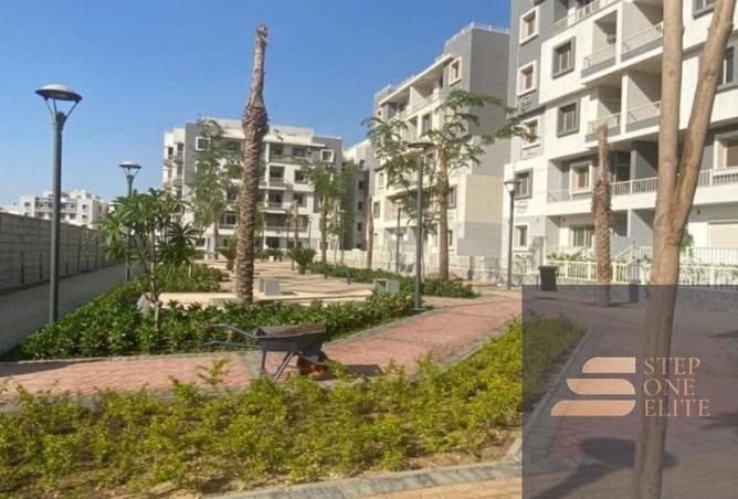 8137534 - صورة العقار 2