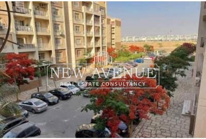 8282499 - Property Image 3