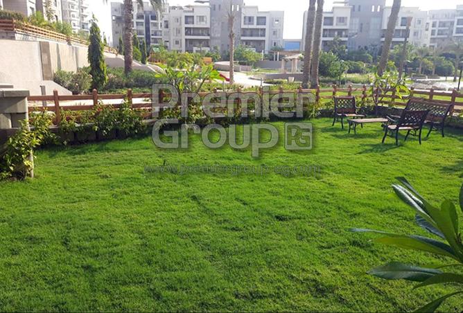 8565829 - Property Image 3