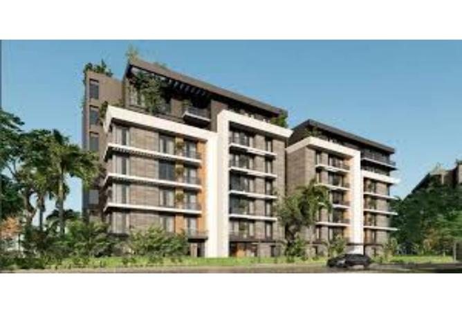 7981686 - Property Image 3