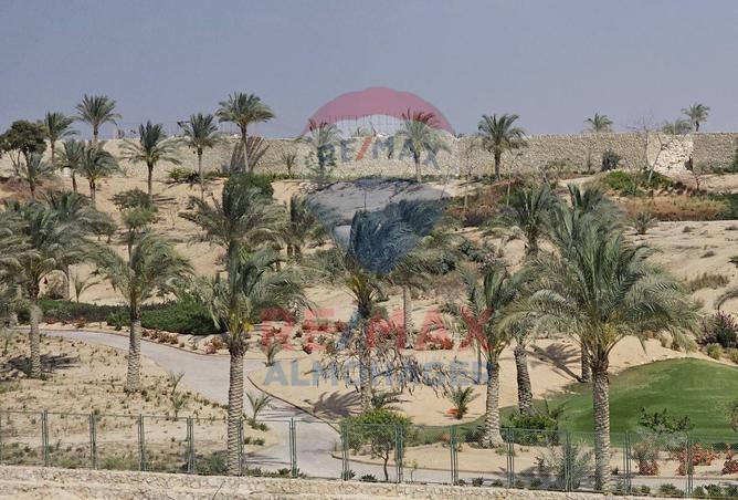 8011764 - Property Image 3