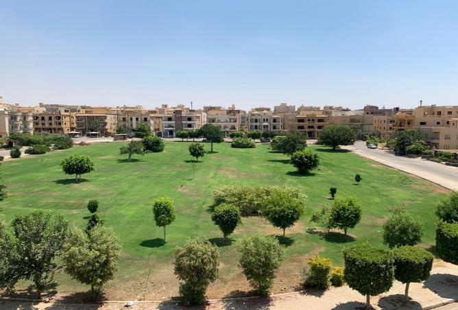 8177788 - صورة العقار 3