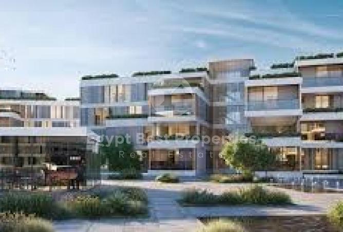 8435029 - Property Image 3