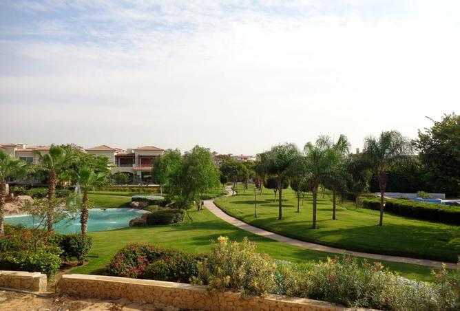 8332016 - صورة العقار 2