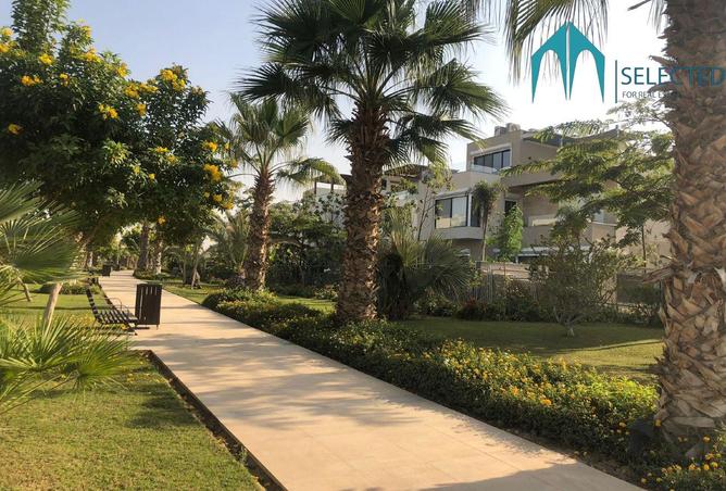 8398775 - Property Image 3