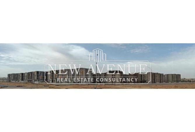 8238849 - Property Image 3