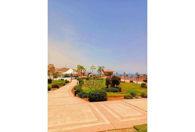 8056004 - Property Image 3
