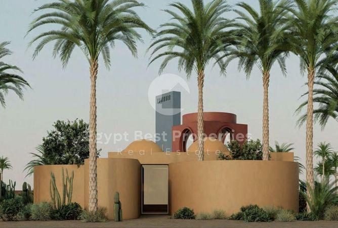 8031771 - Property Image 3