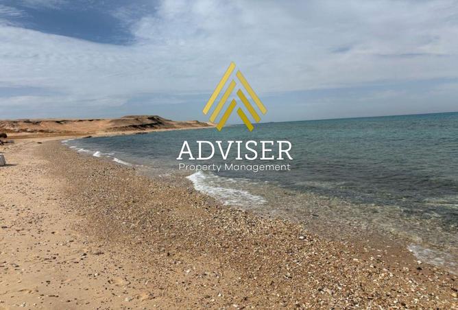 8292287 - صورة العقار 2