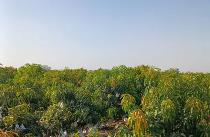 Land - Studio for sale in Al Nubariyah - Al Behera