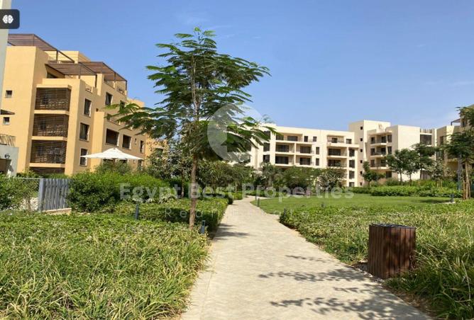 8070071 - Property Image 3