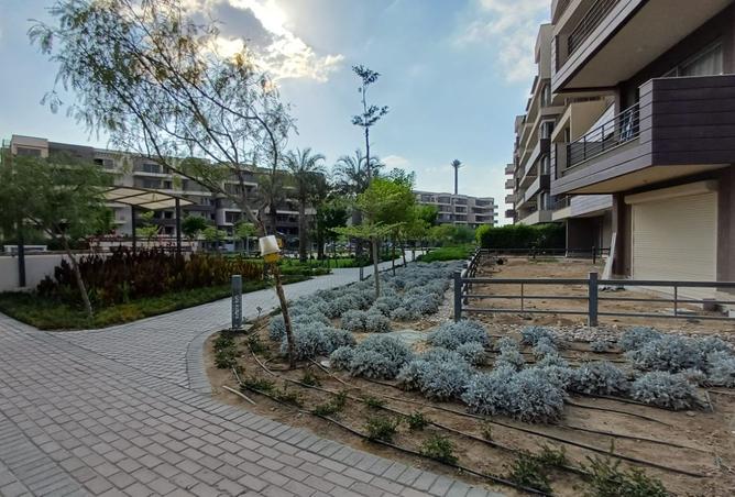 8312642 - Property Image 3