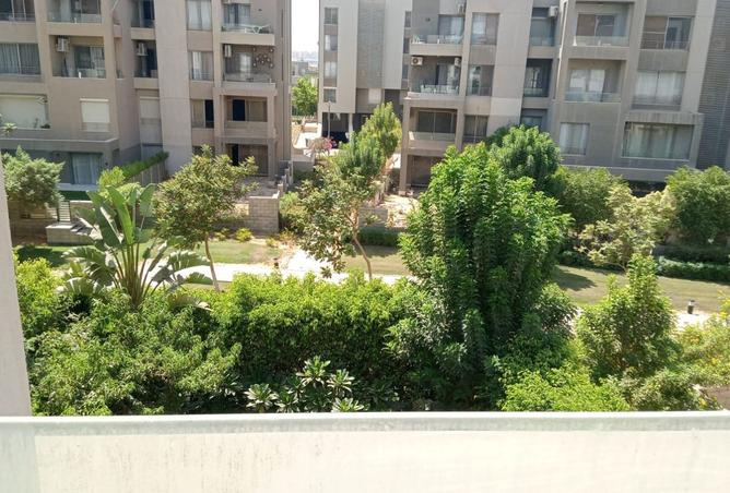 8036532 - صورة العقار 2