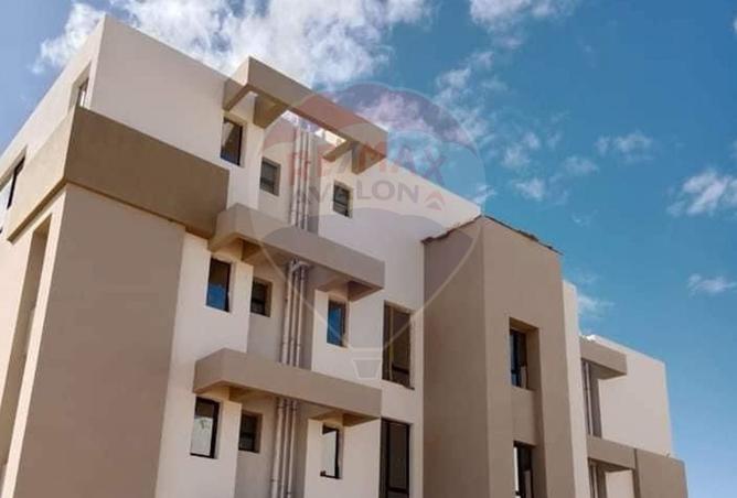 7937616 - صورة العقار 3