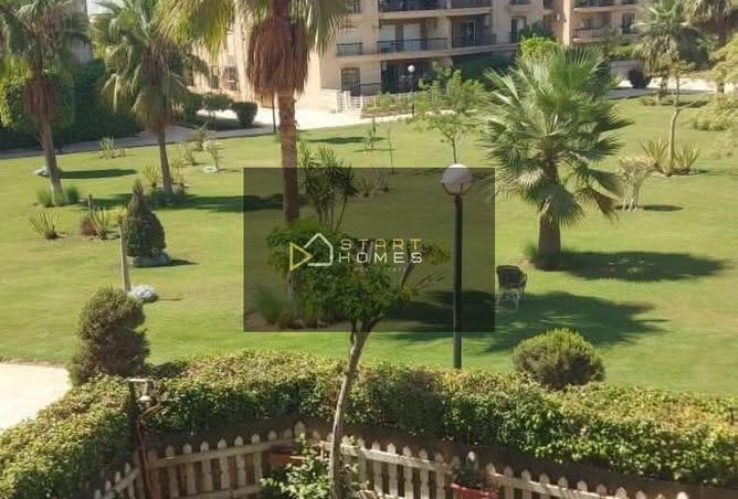 8376977 - Property Image 3