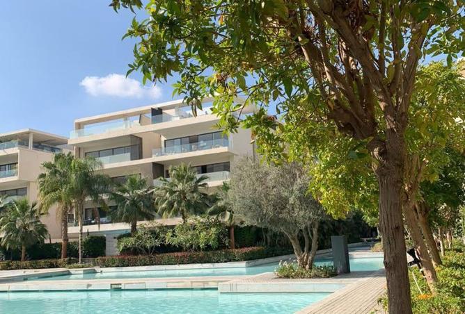 8181278 - Property Image 3