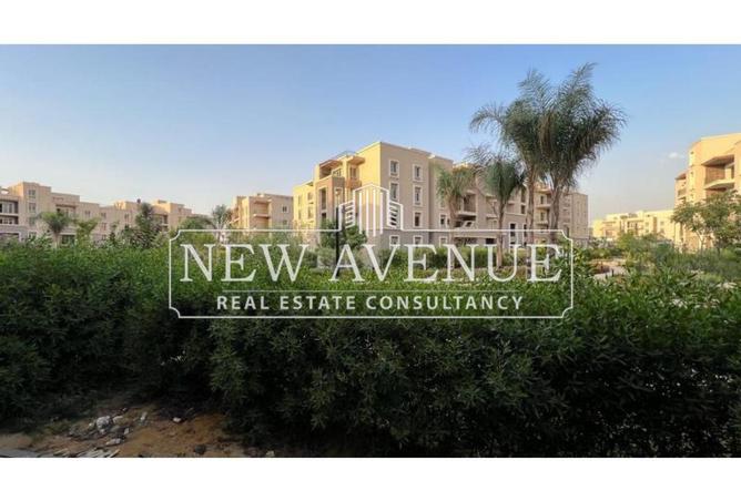 8338680 - Property Image 2