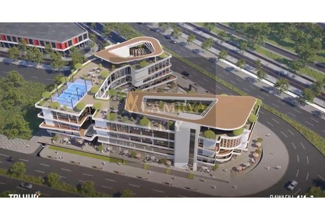 8125461 - Property Image 3