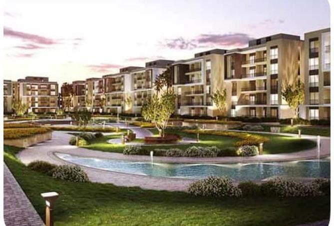 7809392 - Property Image 3