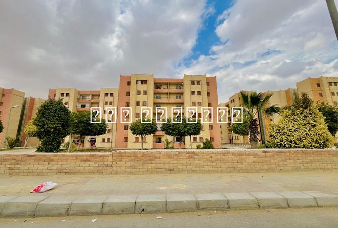 8173901 - صورة العقار 2