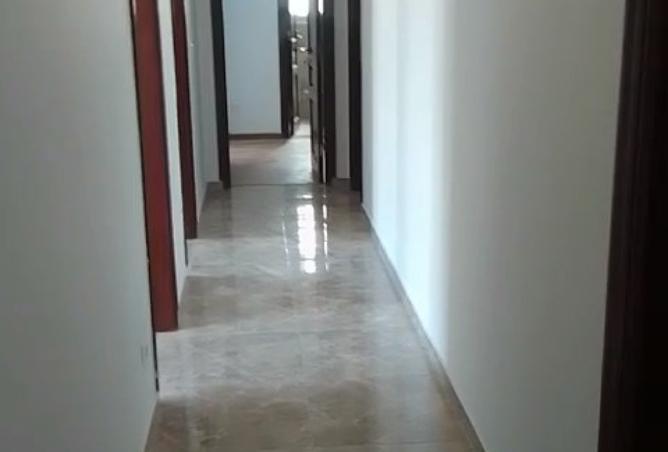 8209178 - صورة العقار 3