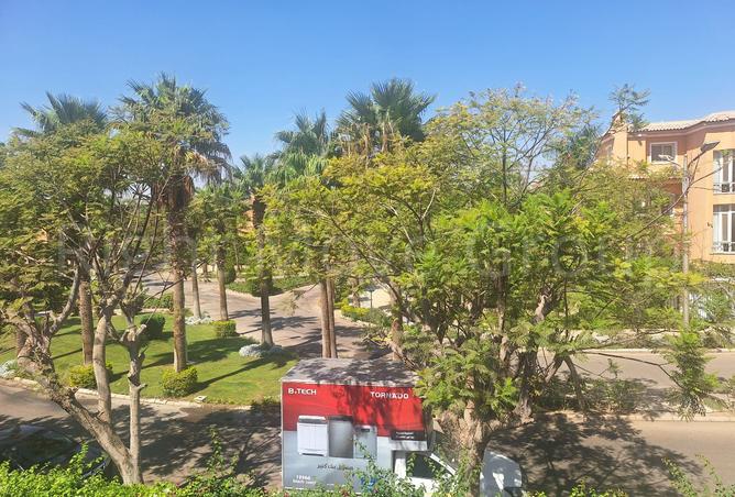 7995857 - Property Image 2