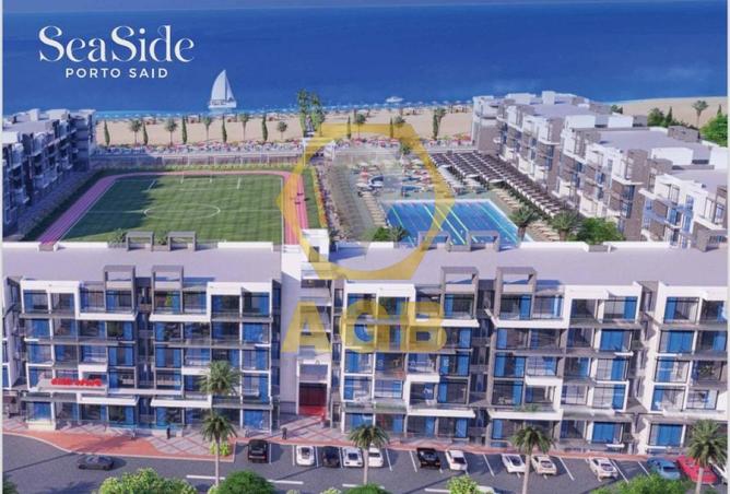 7831328 - Property Image 2