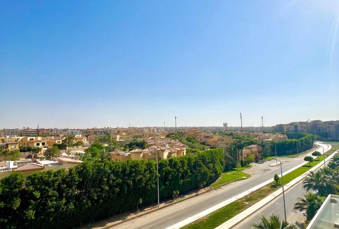 8174056 - Property Image 3