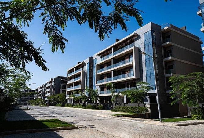 8240893 - Property Image 3