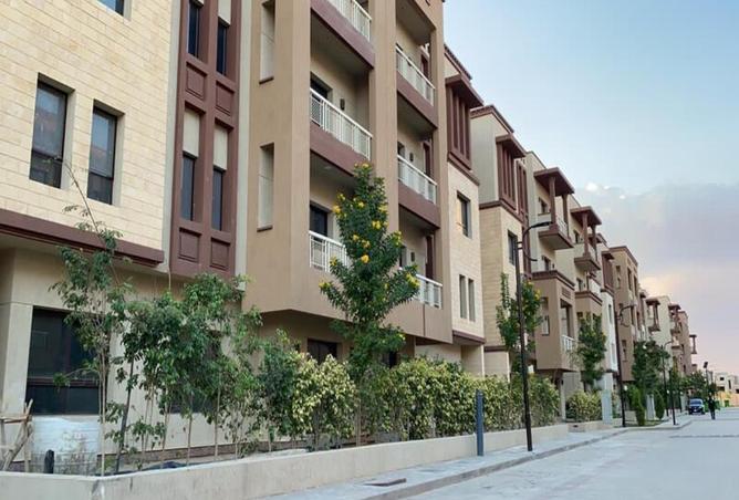 8107359 - صورة العقار 3