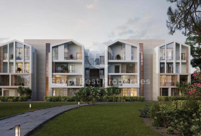 8011654 - Property Image 3
