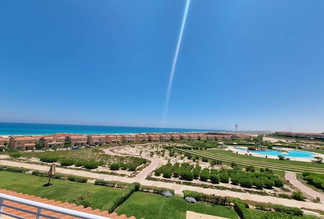 7991006 - صورة العقار 2