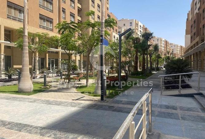 8391401 - Property Image 3