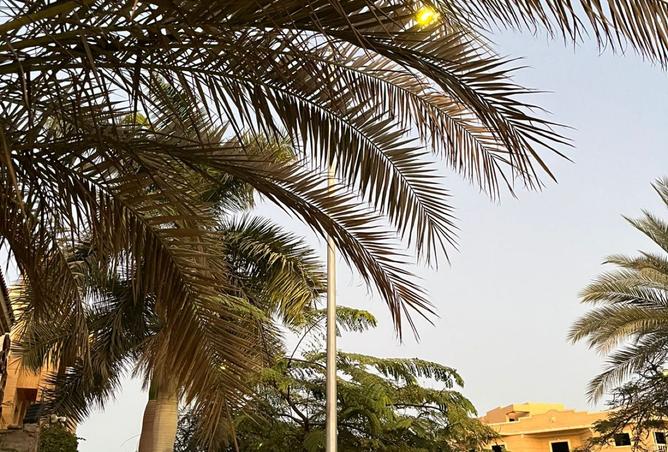 8483369 - صورة العقار 2