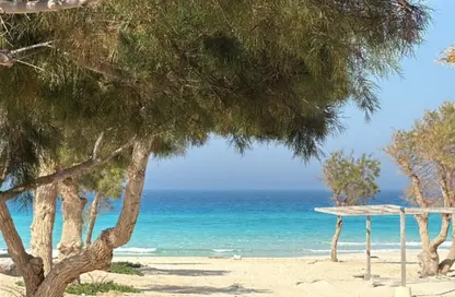 Chalet - 3 Bedrooms - 3 Bathrooms for sale in Marsa Baghush - Qesm Marsa Matrouh - North Coast