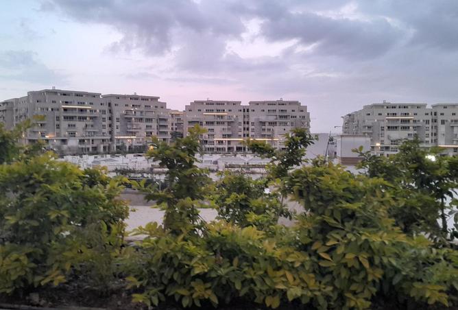 8542834 - صورة العقار 3