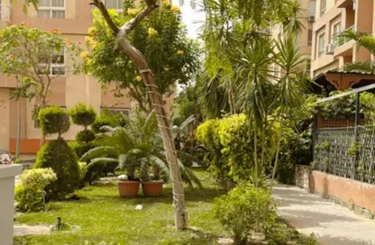 Apartment - 2 Bedrooms - 1 Bathroom for rent in Degla Gardens - Hadayek October - 6 October City - Giza