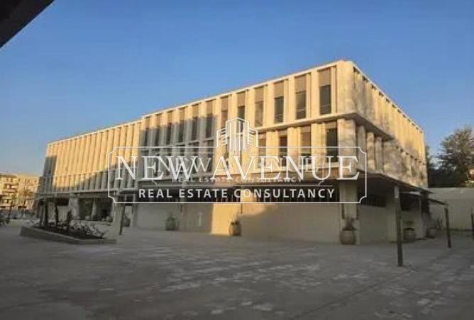 7905175 - صورة العقار 3