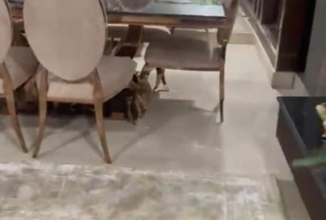 8490645 - Property Image 3