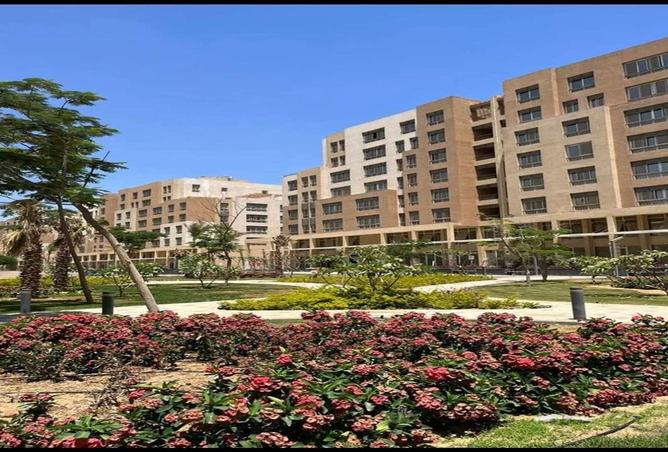 7970552 - صورة العقار 2