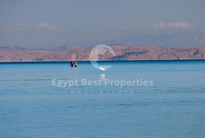 8438594 - Property Image 2