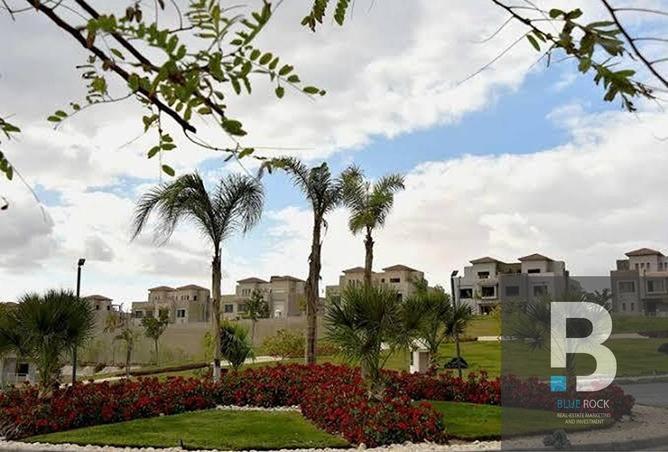 7974816 - Property Image 3