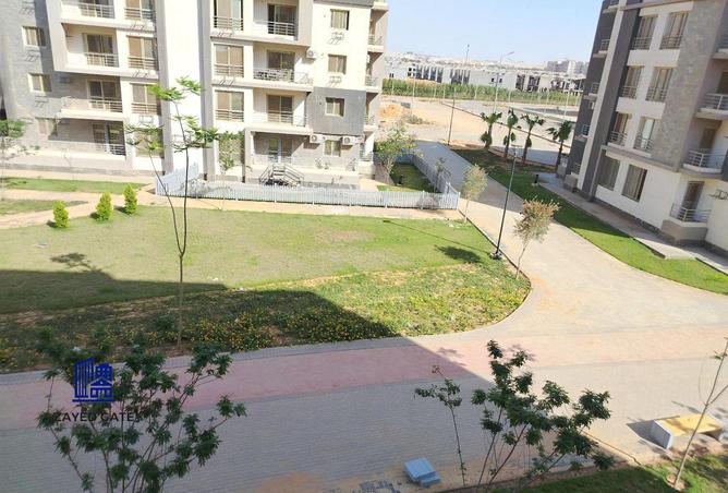 8513169 - Property Image 3