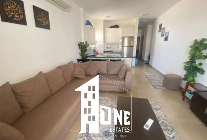 8432297 - Property Image 3